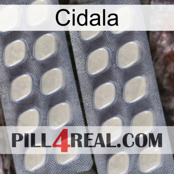 Cidala 07.jpg